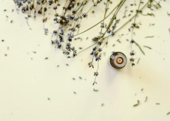 Cómo usar la aromaterapia en casa para relajarte y mejorar tu bienestar