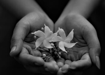 Vitamina C para la piel: beneficios, cómo usarla y cómo elegir tu sérum